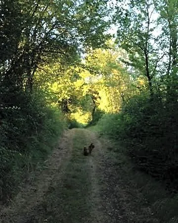 La Foret
