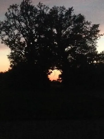 Bed & Breakfast La Foret