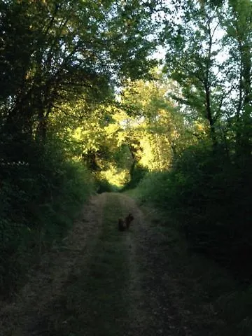 La Foret Bed & Breakfast 3*